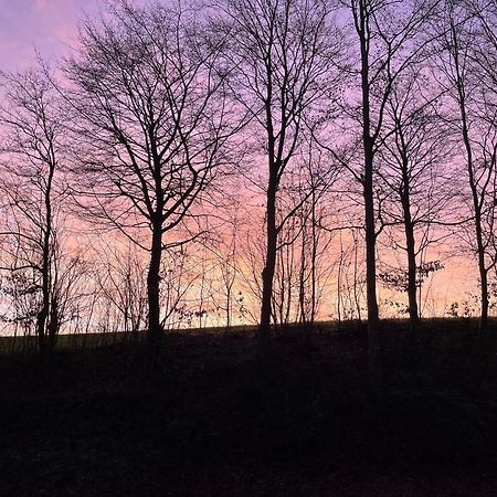 La Canopee Des Arbres, Anna Ellezelles Eksteriør bilde