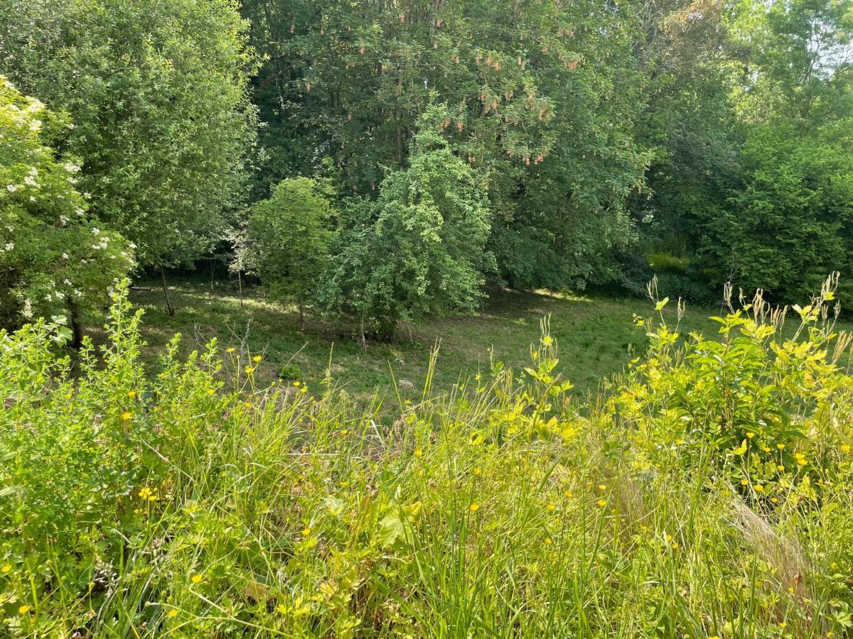 La Canopee Des Arbres, Anna Ellezelles Eksteriør bilde