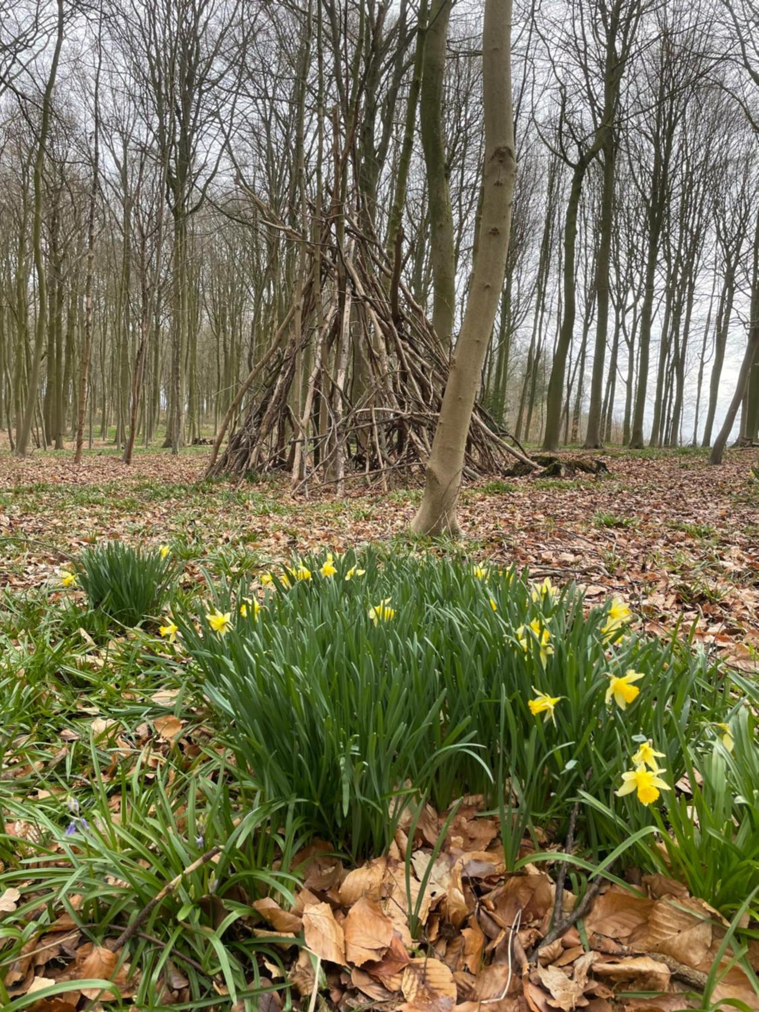 La Canopee Des Arbres, Anna Ellezelles Eksteriør bilde